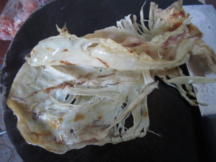 红黑蜜枣炖花胶步骤1