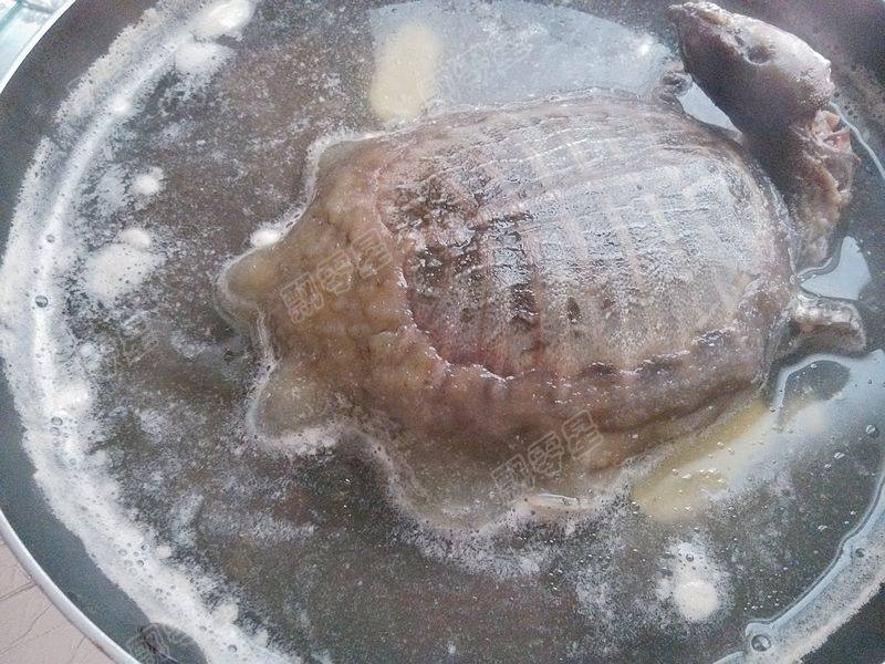 清炖甲鱼汤步骤6