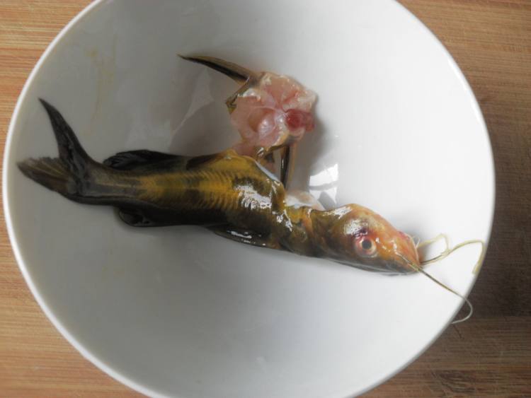 昂子鱼炖蛋步骤1