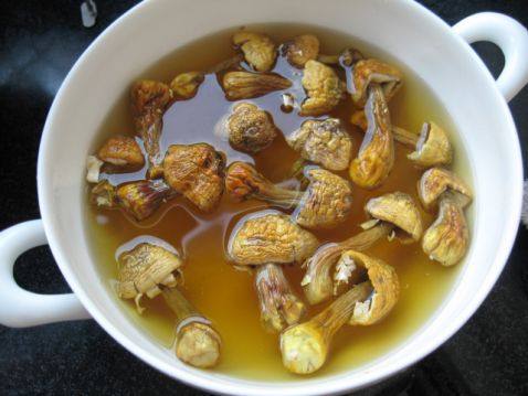 松茸菇炖鸡步骤1