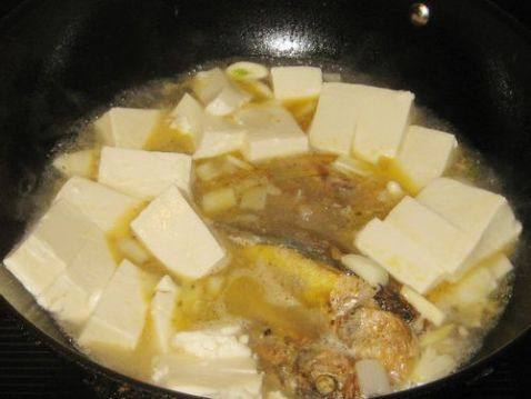 黄花鱼炖豆腐步骤7