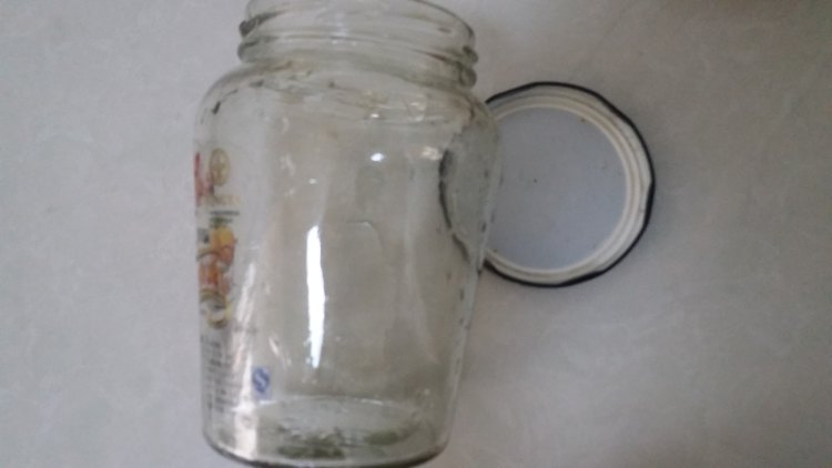 水蜜桃罐头步骤2
