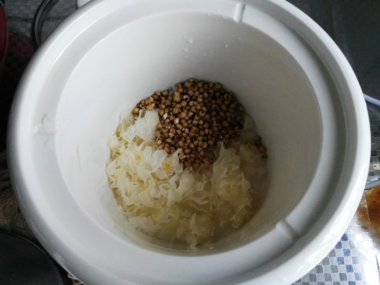 桃胶蔓越莓薏仁羹步骤5