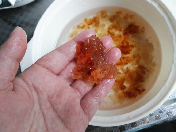 桃胶蔓越莓薏仁羹步骤3