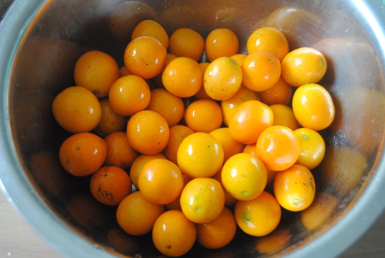 金桔蜜饯步骤1