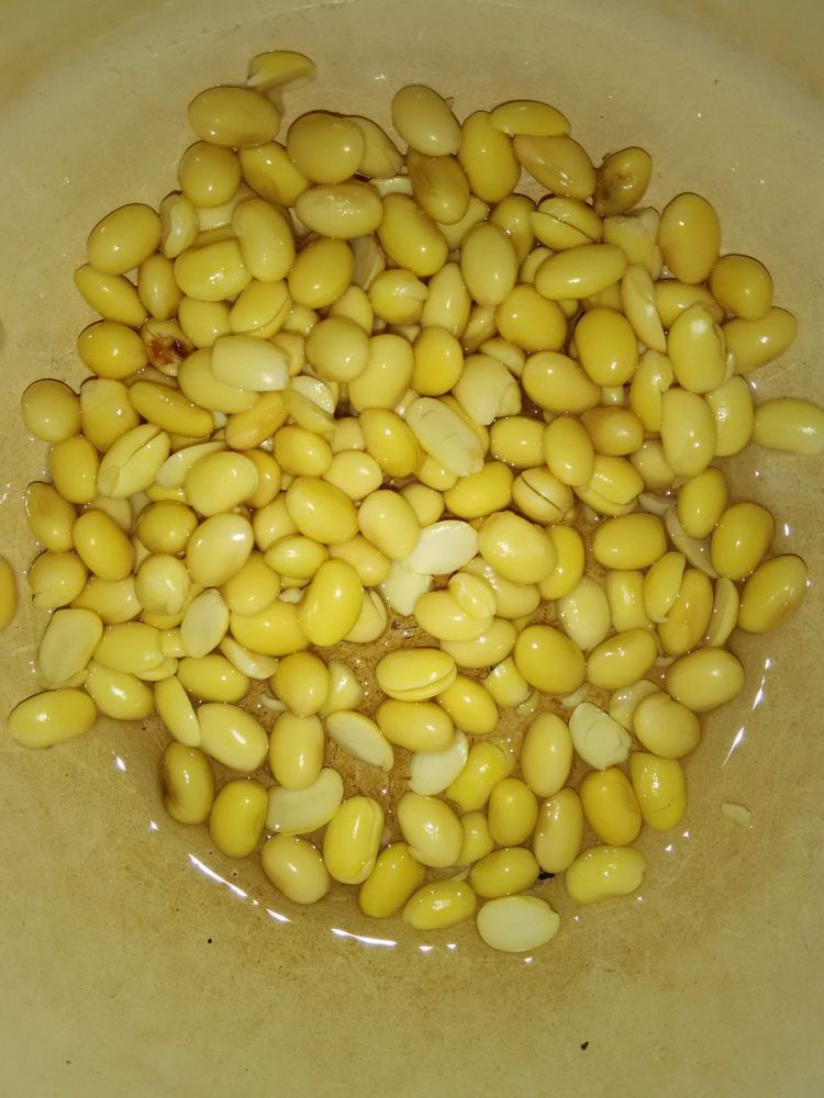 红枣糯米豆浆步骤3