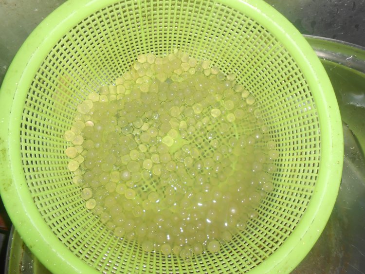 芒果酸奶西米露步骤6