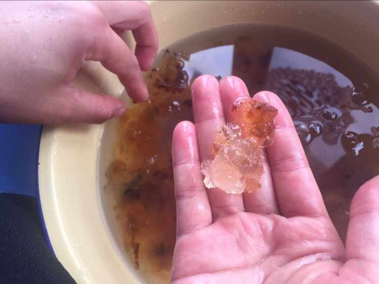 桃胶养颜羹步骤2