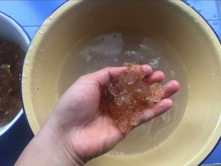 桃胶养颜羹步骤4