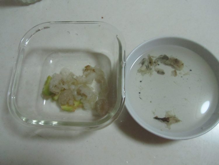 火龙果雪蛤银耳蜜羹步骤4