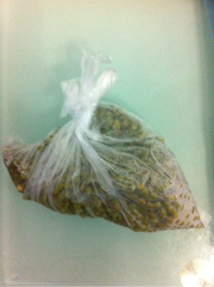 薄荷绿豆薏米汤步骤2