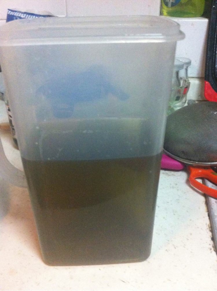 薄荷绿豆薏米汤步骤11