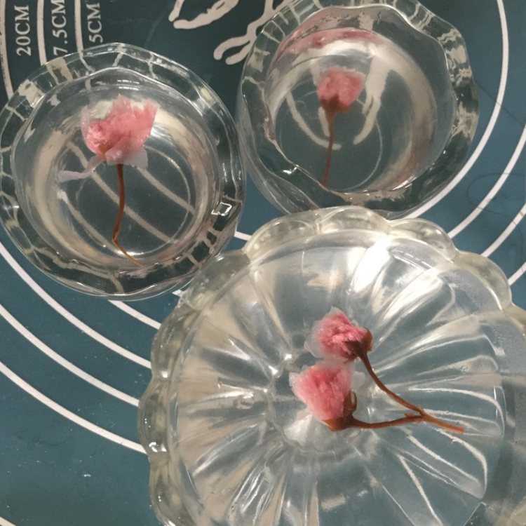 樱花冰粉粉步骤7