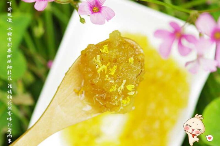 蜂蜜桂花雪梨膏步骤7