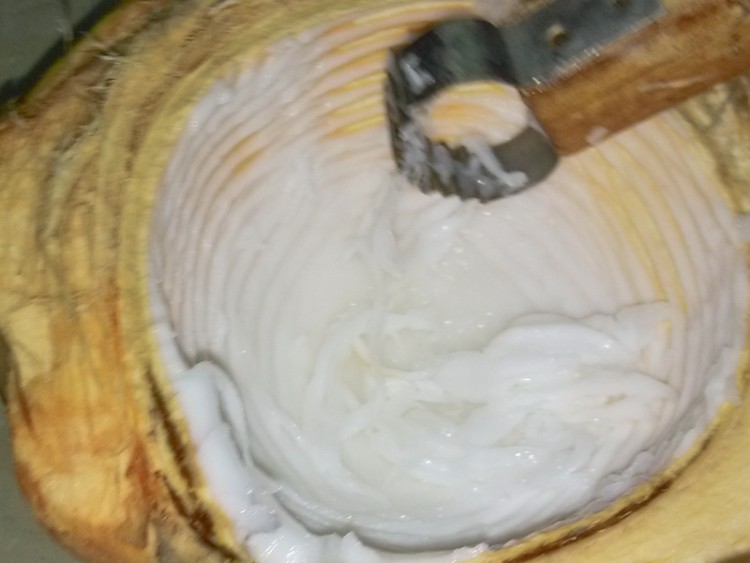 鲜椰肉糖水步骤3