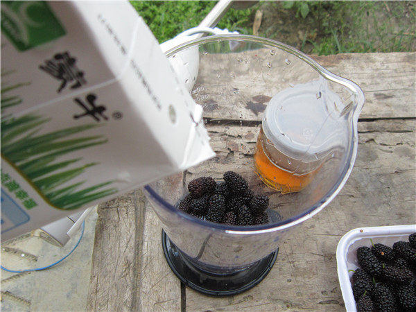 蜂蜜桑果奶昔步骤2
