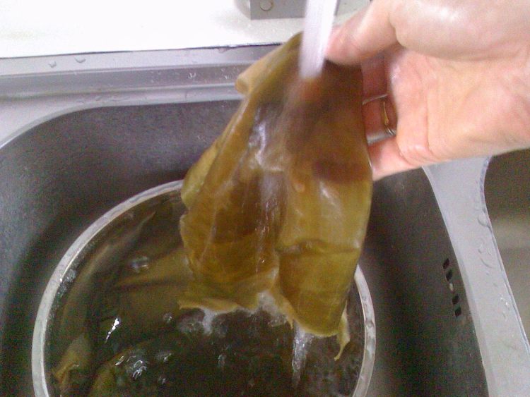 海带绿豆粥步骤3