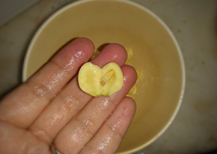 金果腐竹糖水步骤3