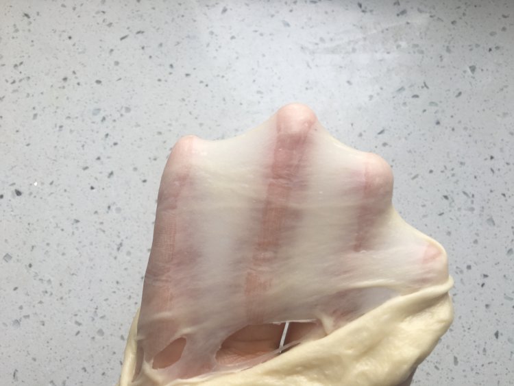 肉松手撕包步骤5