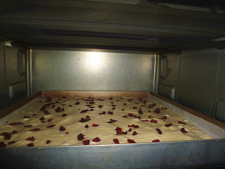 蔓越莓奶冻卷步骤12