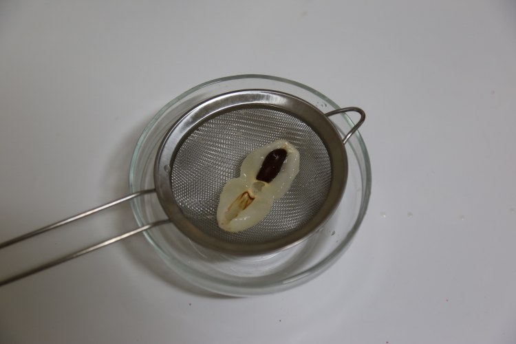 加州葡萄干荔枝树莓布步骤3