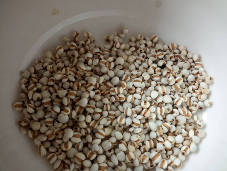 赤小豆薏米汤步骤2
