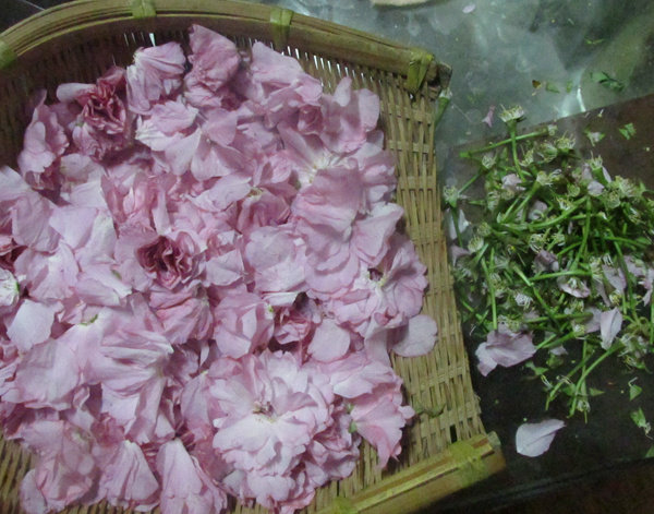 樱花酱步骤2