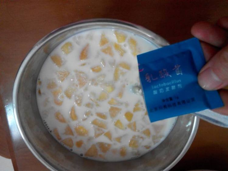 自制果粒酸奶步骤7