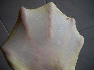 肉松小布利步骤6