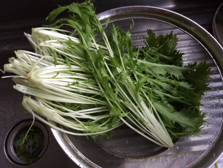 银丝菜沙拉步骤2