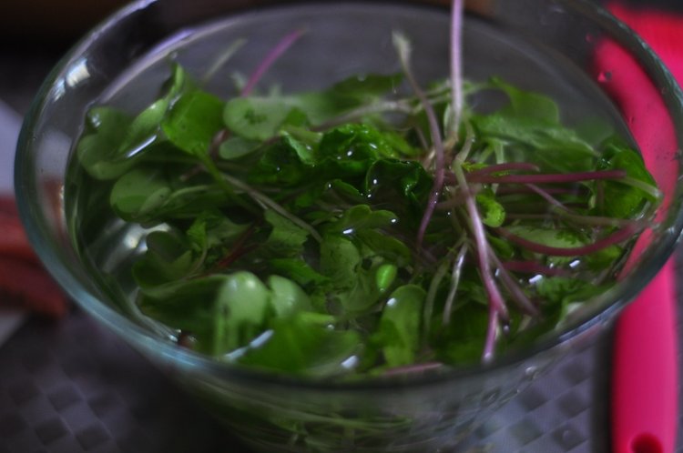 【手工美食】萝卜苗甜步骤6