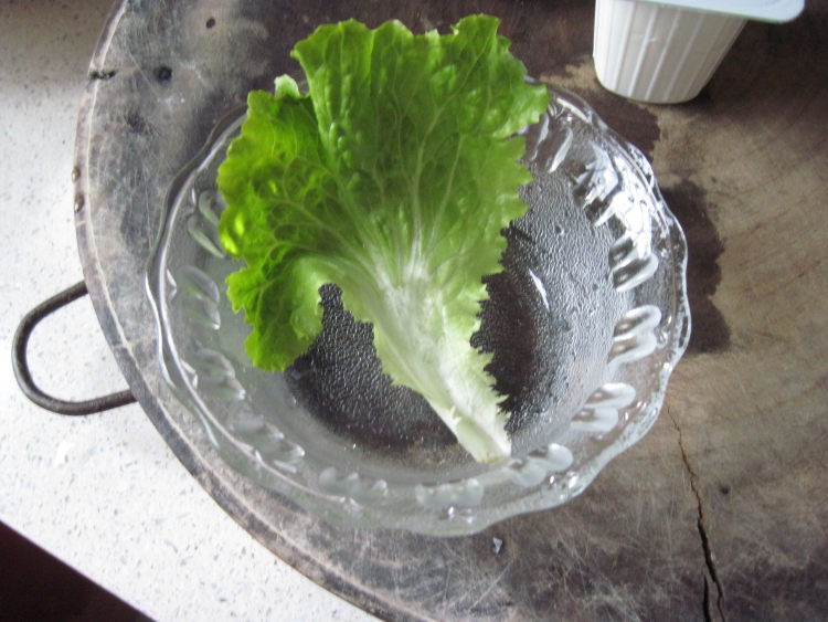 苹果玉米沙拉步骤4
