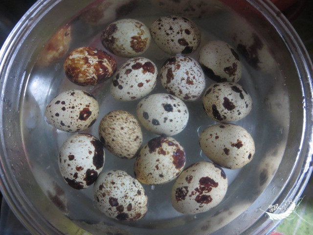 鹑鹌蛋土豆火腿沙拉步骤6