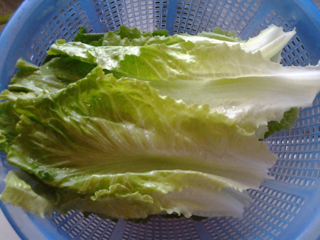 生菜沙拉步骤2