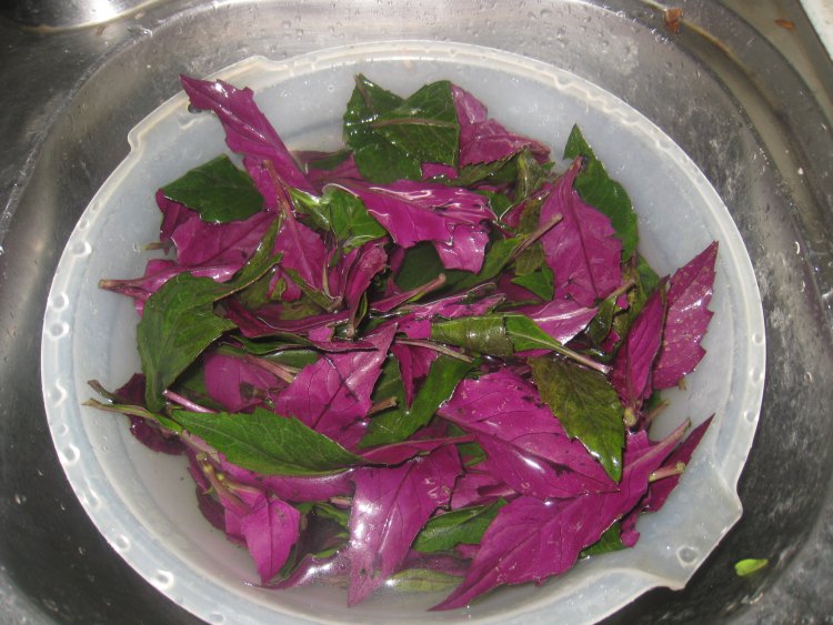 紫背菜沙拉步骤1