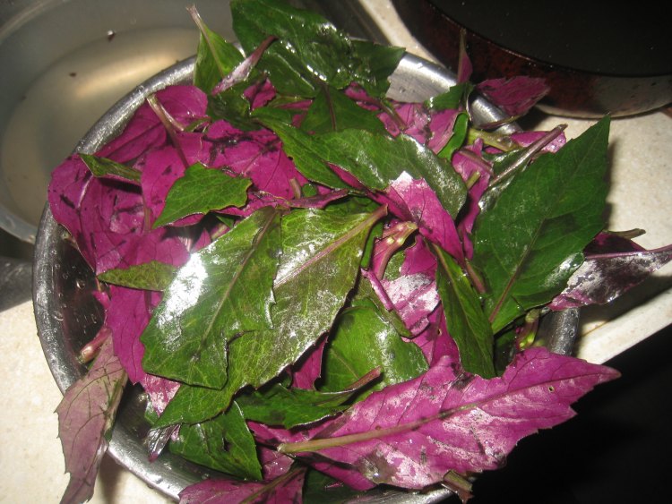 紫背菜沙拉步骤2