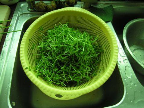 蘑菇豆苗沙拉步骤1