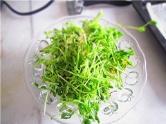 芽菜土豆沙拉步骤4