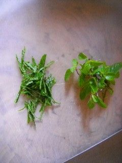 清凉薄荷蔬果沙拉步骤2