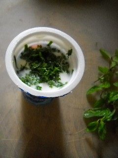 清凉薄荷蔬果沙拉步骤3