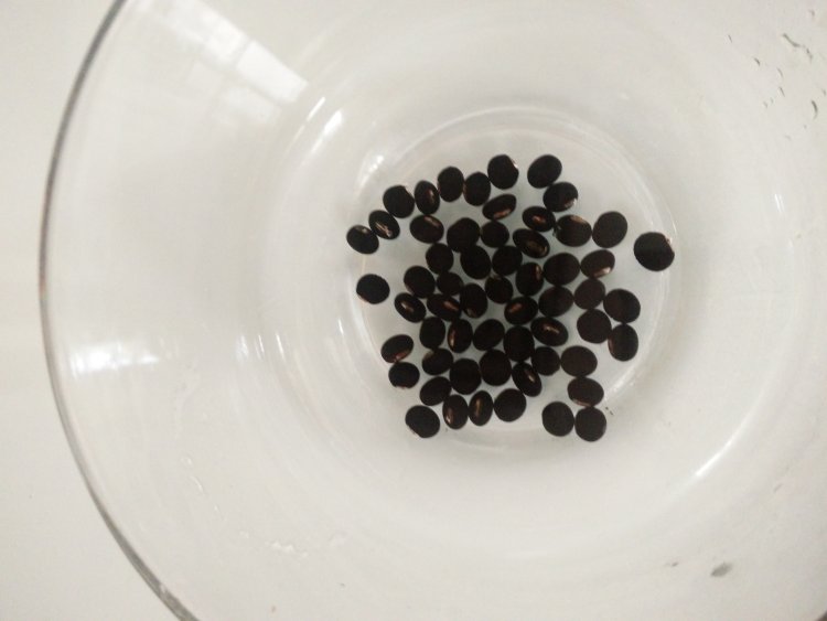 养生豆浆步骤3