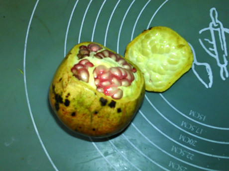 石榴熟豆豆浆步骤2