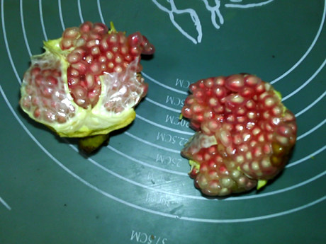 石榴熟豆豆浆步骤4