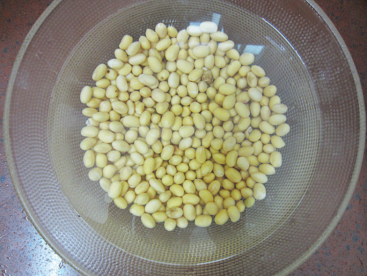 金银花豆浆步骤3