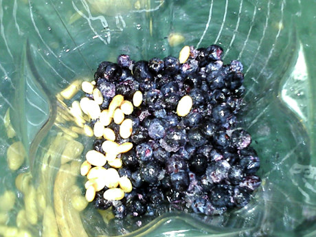 葡萄熟豆豆浆步骤2