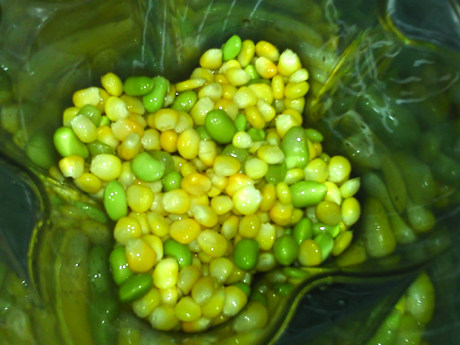 青豆玉米浆步骤5