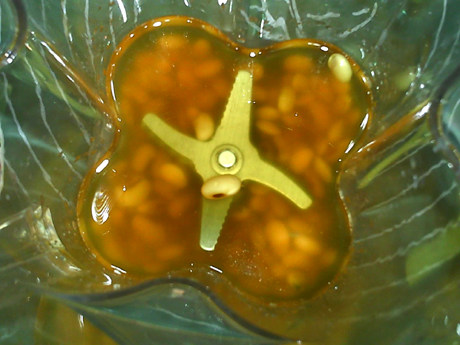 甜梨熟豆豆浆步骤4