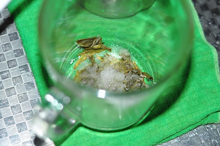 摩洛哥薄荷甜茶步骤5