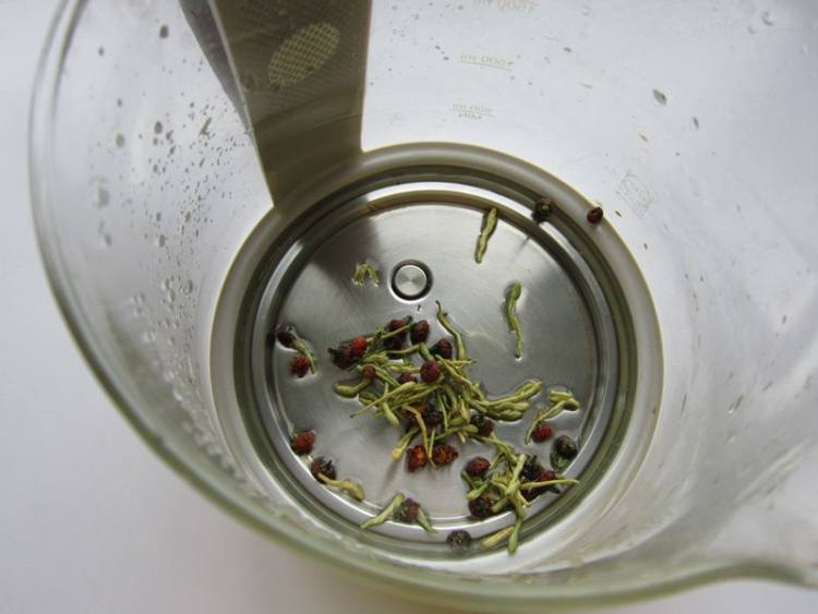 金银花胎菊茶步骤3