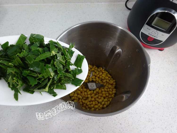 桑叶豆浆步骤4